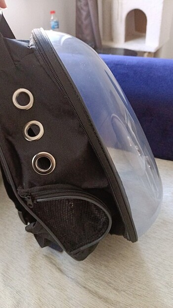 universal Beden siyah Renk Kedi taşıma sırt çantası 