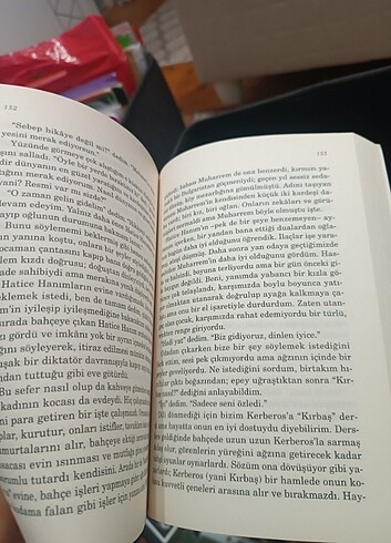 Beden Kardeimin hikayesi, Zülfü Livaneli