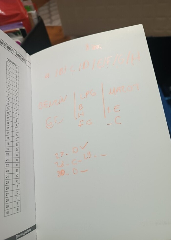 Türkçe deneme - Görsel 2