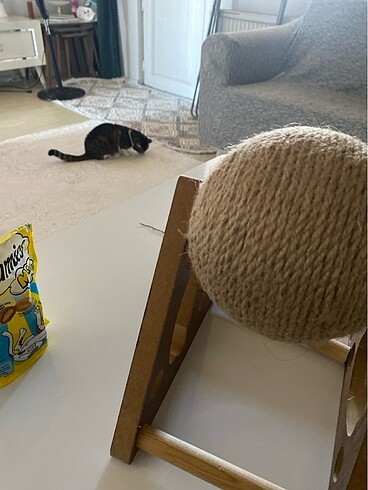 Kedi tırmalama tahtası