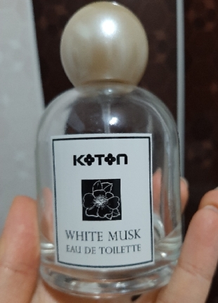 white musk edt