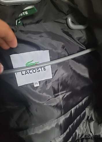 3xl Beden siyah Renk Lacoste