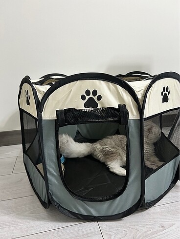 Katlanabilir kedi yatağı