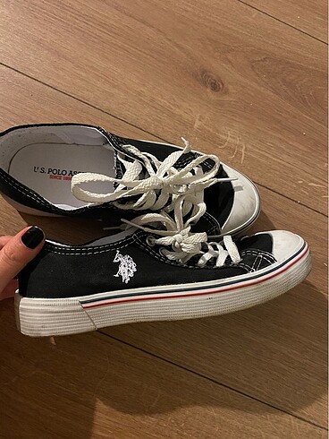 36 Beden U.S. Polo Assn. Converse