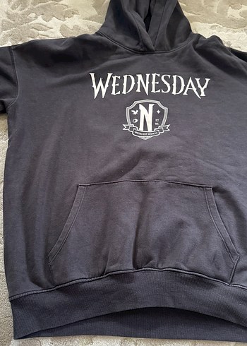 Gri Baskılı Kadın Sweatshirt Kapüşonlu - Görsel 3