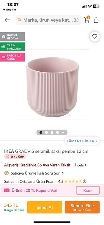 2 saksı porselen