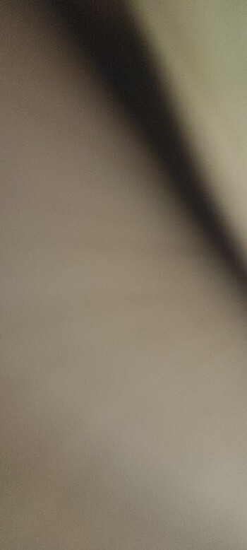 Adidas mont  - Görsel 6