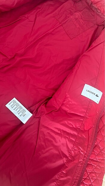 xs Beden Lacoste mont