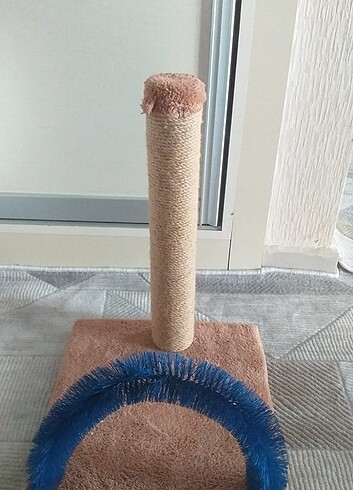 Kedi Tırmalama Tahtası