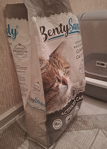 Kedi kumu