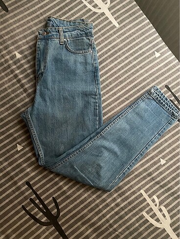 Kot jean