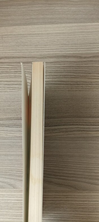 Beden Sait Faik'ten Abasıyanık Kitabı