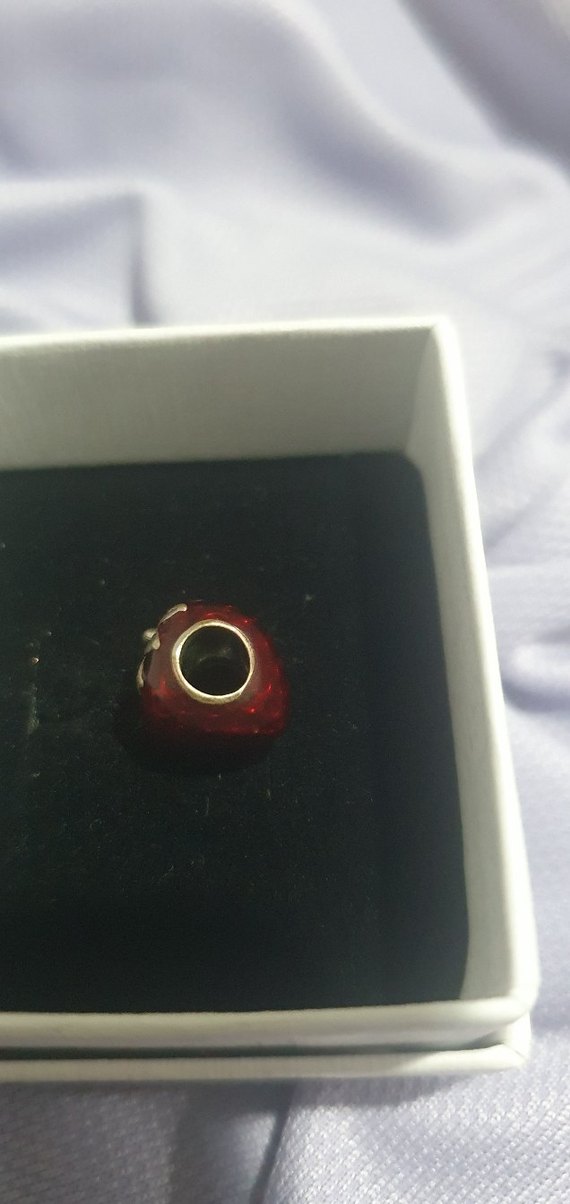 Parlak Kırmızı Çilek Kadın Charm - Görsel 3