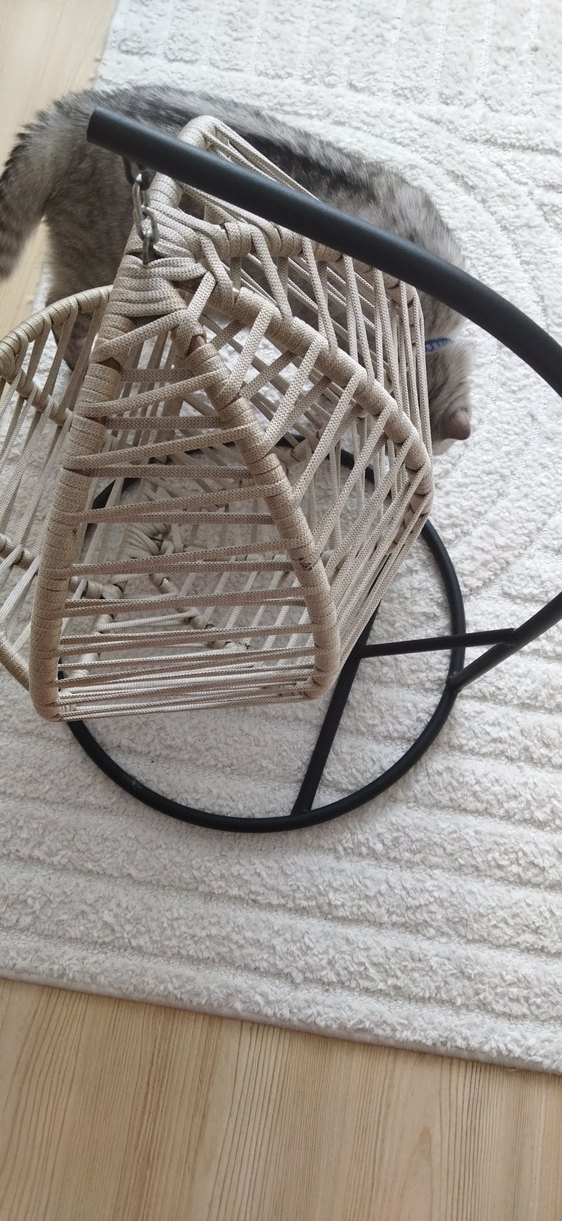 kedi hamağı - Görsel 2