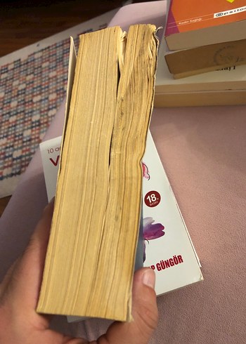 Gelişim Psikolojisi Kuramları - Patricia H. Miller - Görsel 2