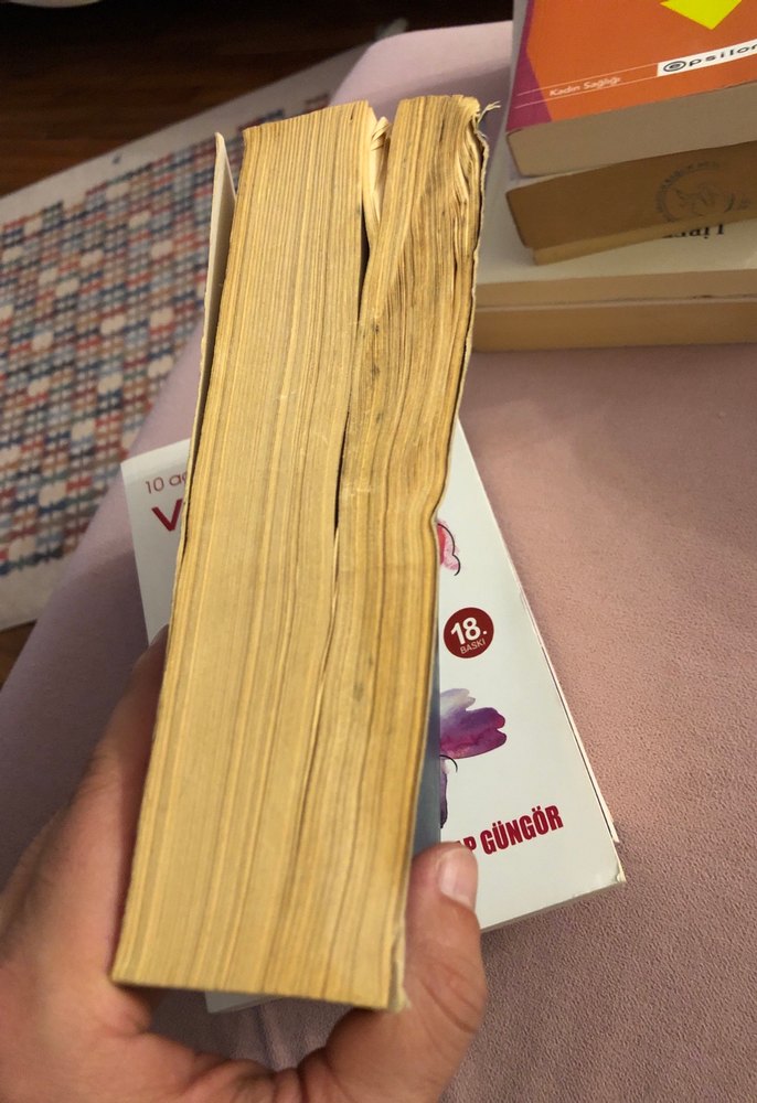 Gelişim Psikolojisi Kuramları - Patricia H. Miller - Görsel 2