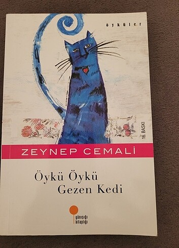 Öykü öykü gezen kedi