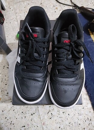 Adidas hooops
