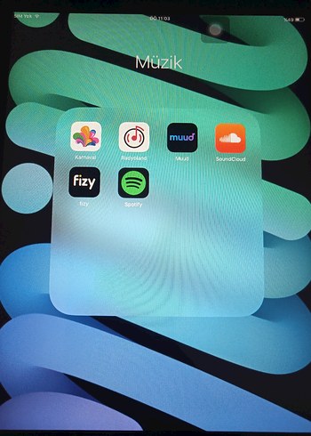 iPad Mini1 - Görsel 14