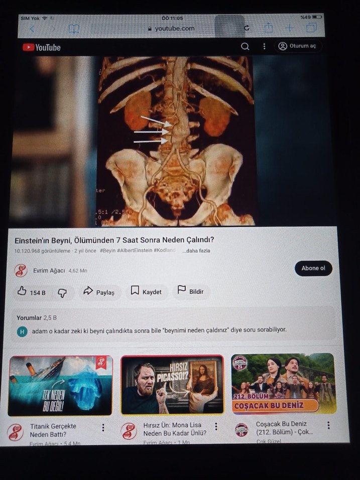 iPad Mini1 - Görsel 4