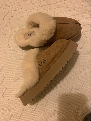 Ugg terlik