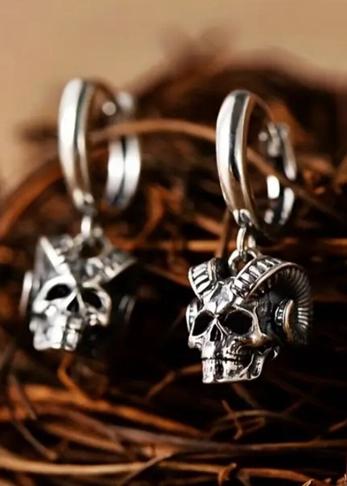 PASLANMAX ÇELİK ERKEK KÜPE - Görsel 2