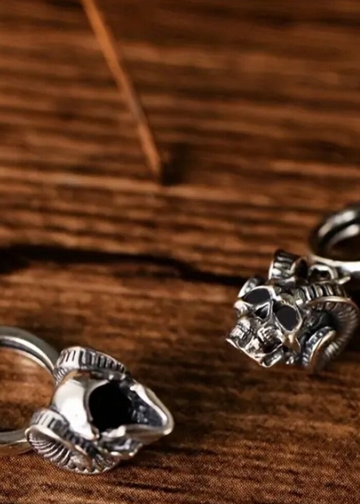 PASLANMAX ÇELİK ERKEK KÜPE - Görsel 3