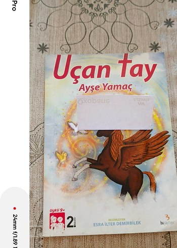 Uçan Tay - Ayşe Yamaç Çocuk Kitabı