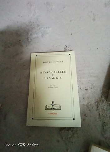 Beyaz geceler ve uysal kiz