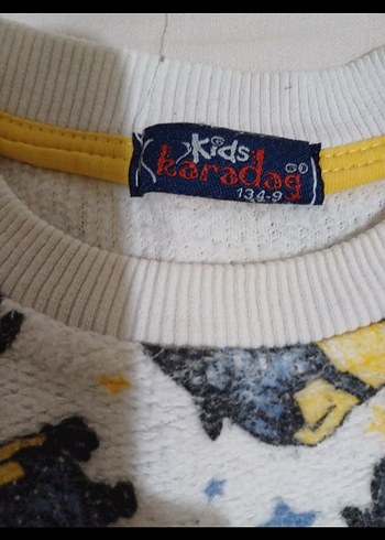 Uzun Kollu Minyon Baskılı Sweatshirt - Görsel 3