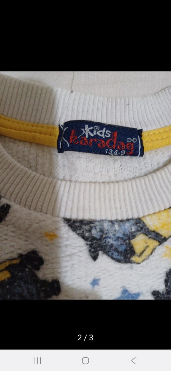 Uzun Kollu Minyon Baskılı Sweatshirt - Görsel 3