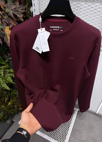 Lacoste Lacivert Erkek Sweatshirt - Görsel 2