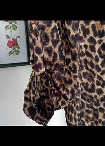 Leoprar 