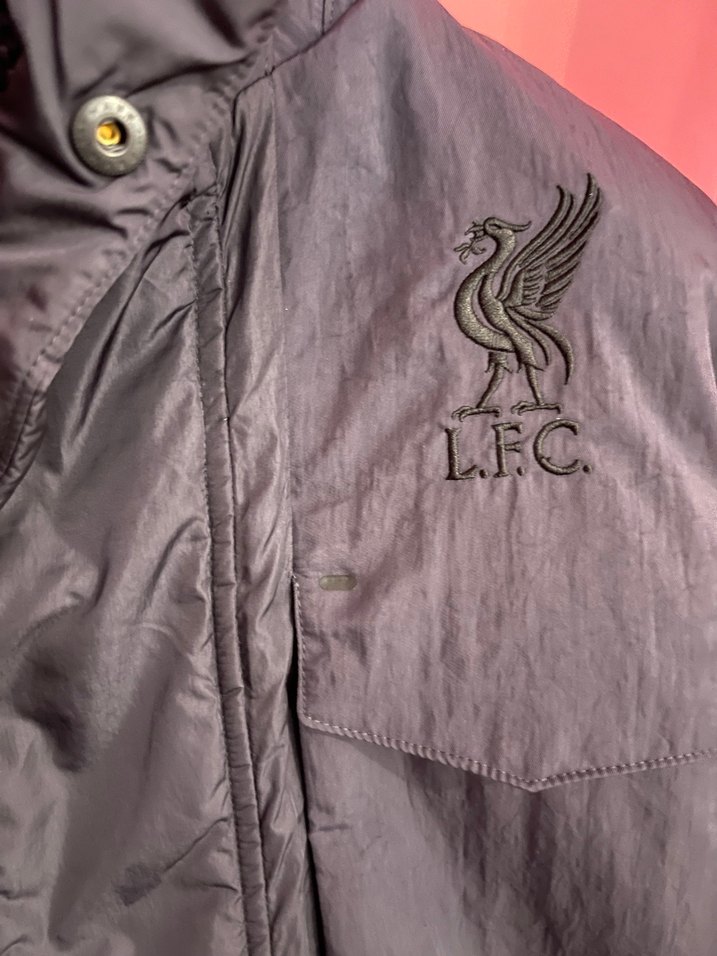 Gri Kapüşonlu Fermuarlı Erkek Mont - Görsel 4