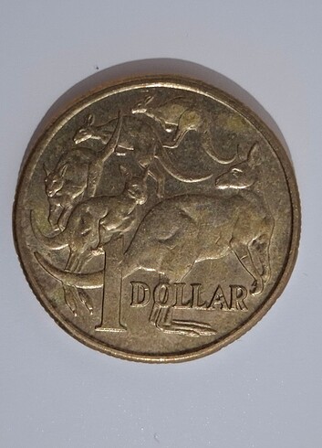 1 Avustralya Doları 2017