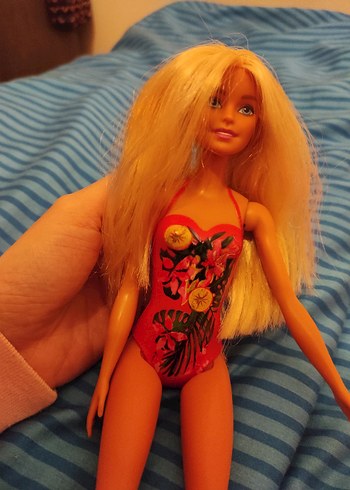 Barbie Barbie Havuzda Eğlence 2015