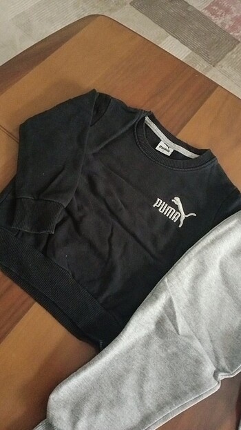 Puma Takim