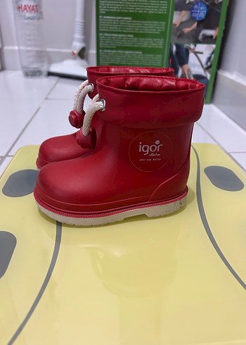 Igor İgor kırmızı bot