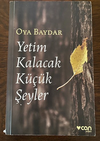 Yetim Kalacak Küçük Şeyler - Oya Baydar