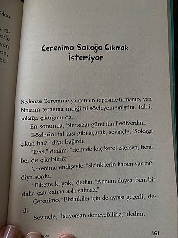 Çatıdaki Gezegen - Behiç Ak