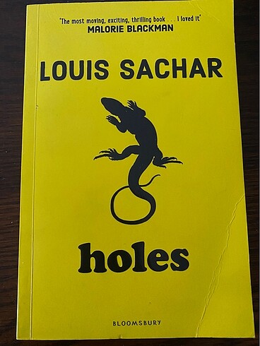 LOUIS SACHAR HOLES