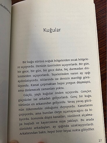 Erik Çekirdeği Lev Tolstoy