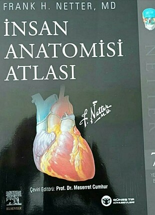 Netter İnsan Anatomi Atlası