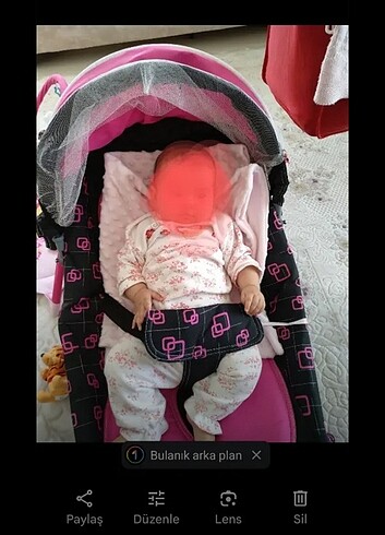 Diğer Çift yönlü ana kucağı