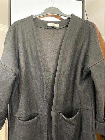 Siyah kaban - Görsel 2