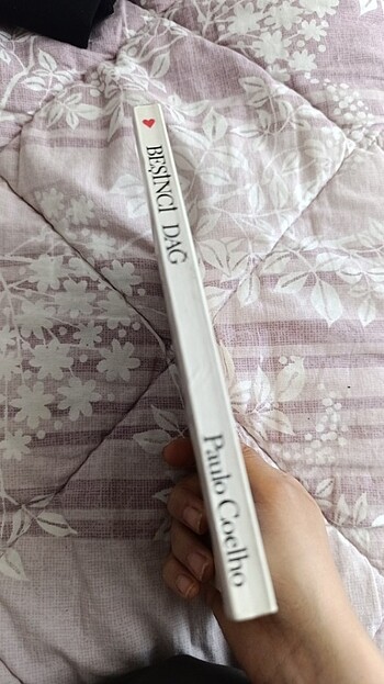 Beşinci dağ - Görsel 2