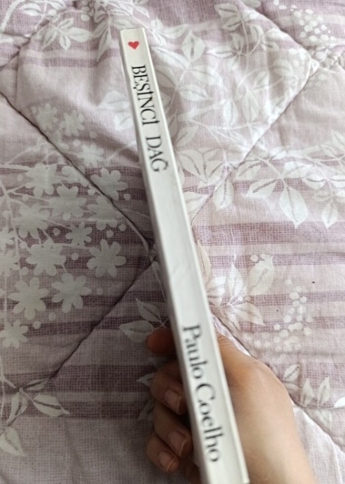 Beşinci dağ - Görsel 2