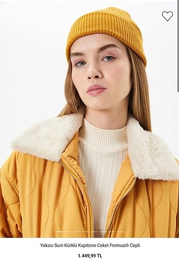 Koton mont