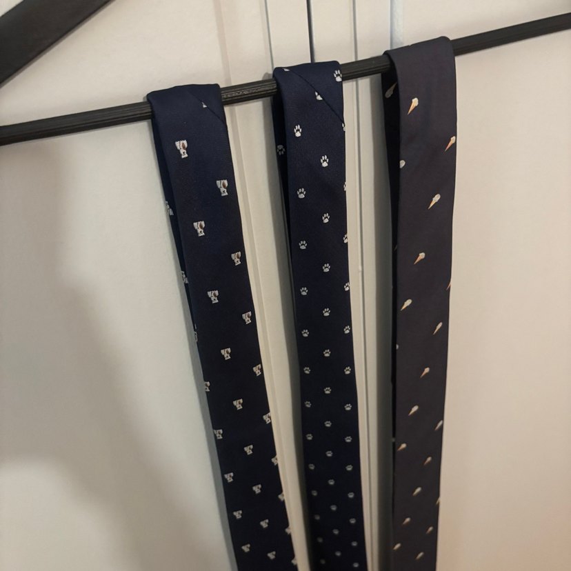 Mango Man & Koton kravatlar - Görsel 3