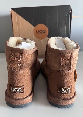 39 Beden UGG Australian Shepherd